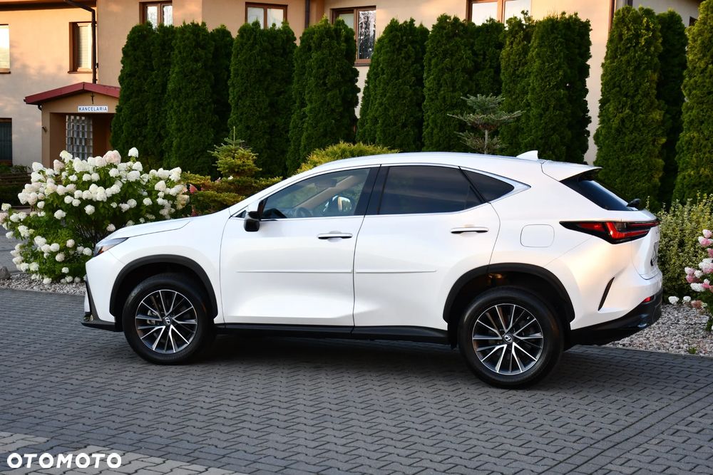 Lexus NX - 11
