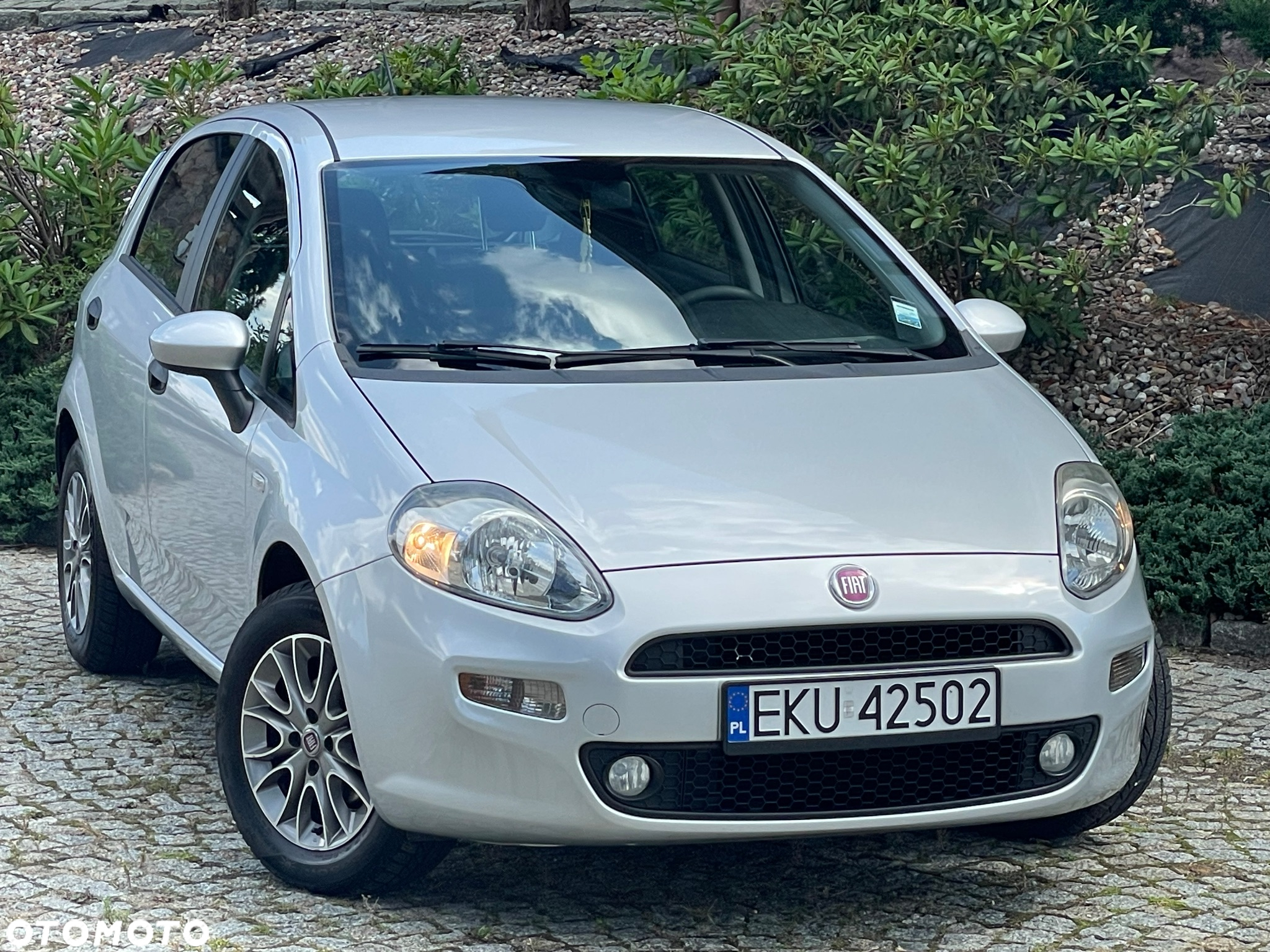 Fiat Punto Evo 1.2 8V Active - 19