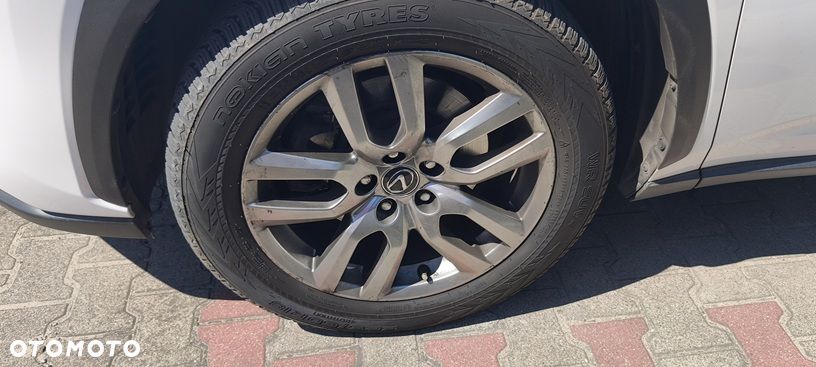 Lexus NX 300h Elegance AWD - 10