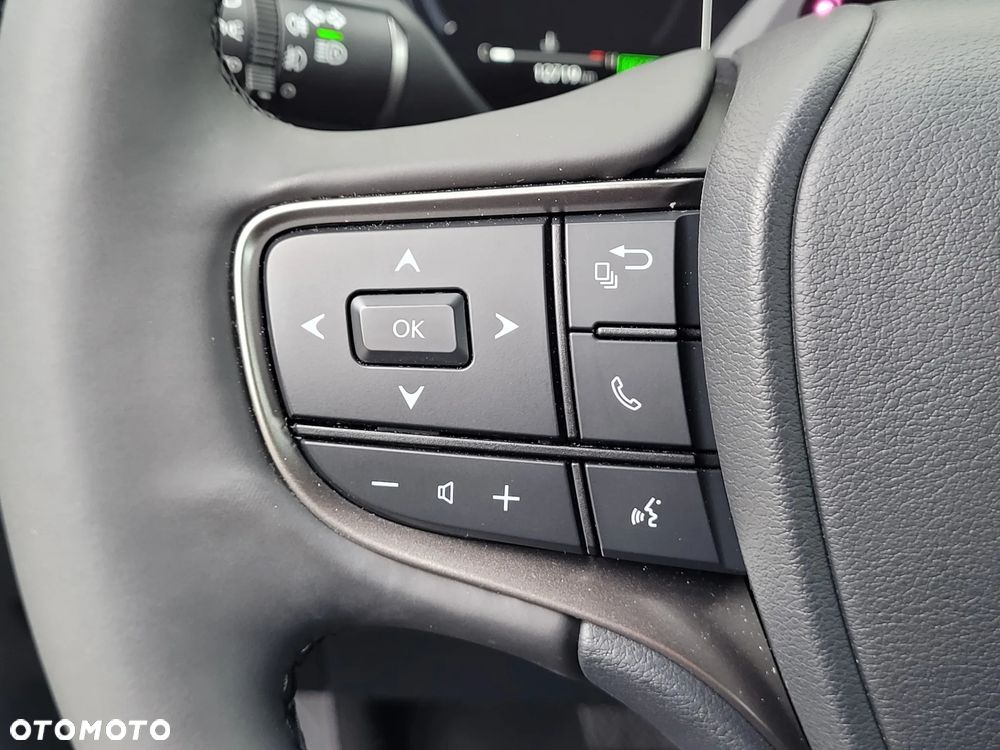 Lexus UX 300h F Sport Design - 24