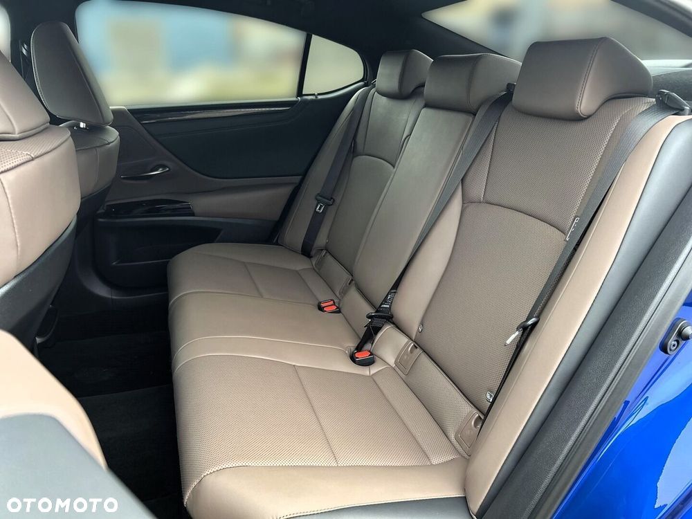 Lexus ES 300h F Sport Design - 16
