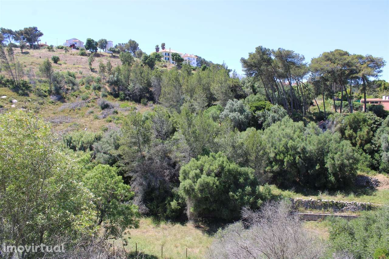 Terreno misto em Cascais - Grande imagem: 4/58
