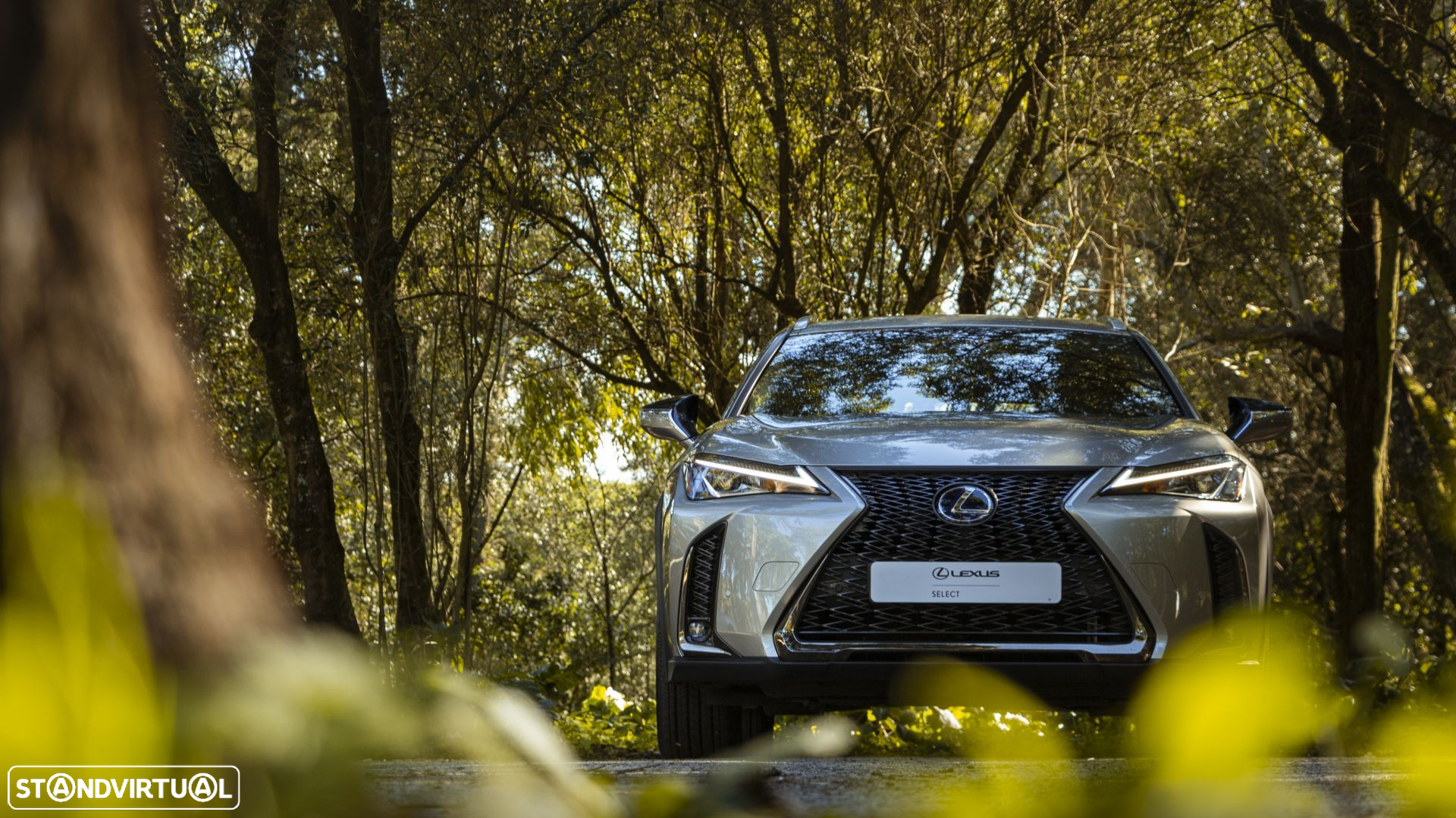 Lexus UX 250h F Sport - 20