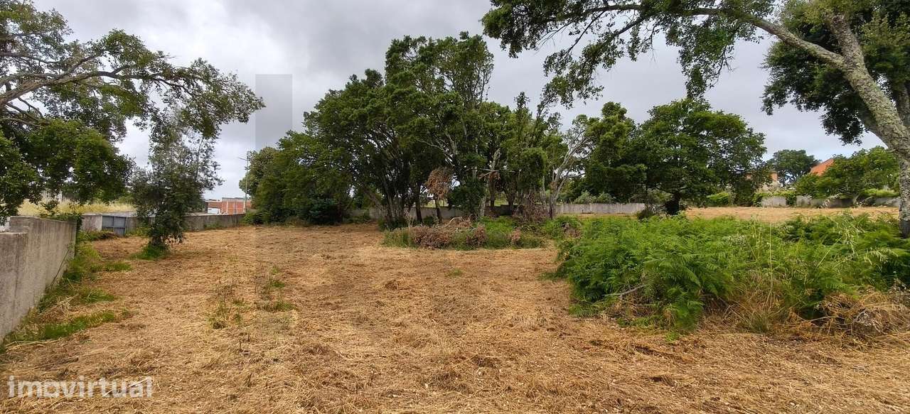 Terreno para construção em Figueiró dos Vinhos - Grande imagem: 5/17