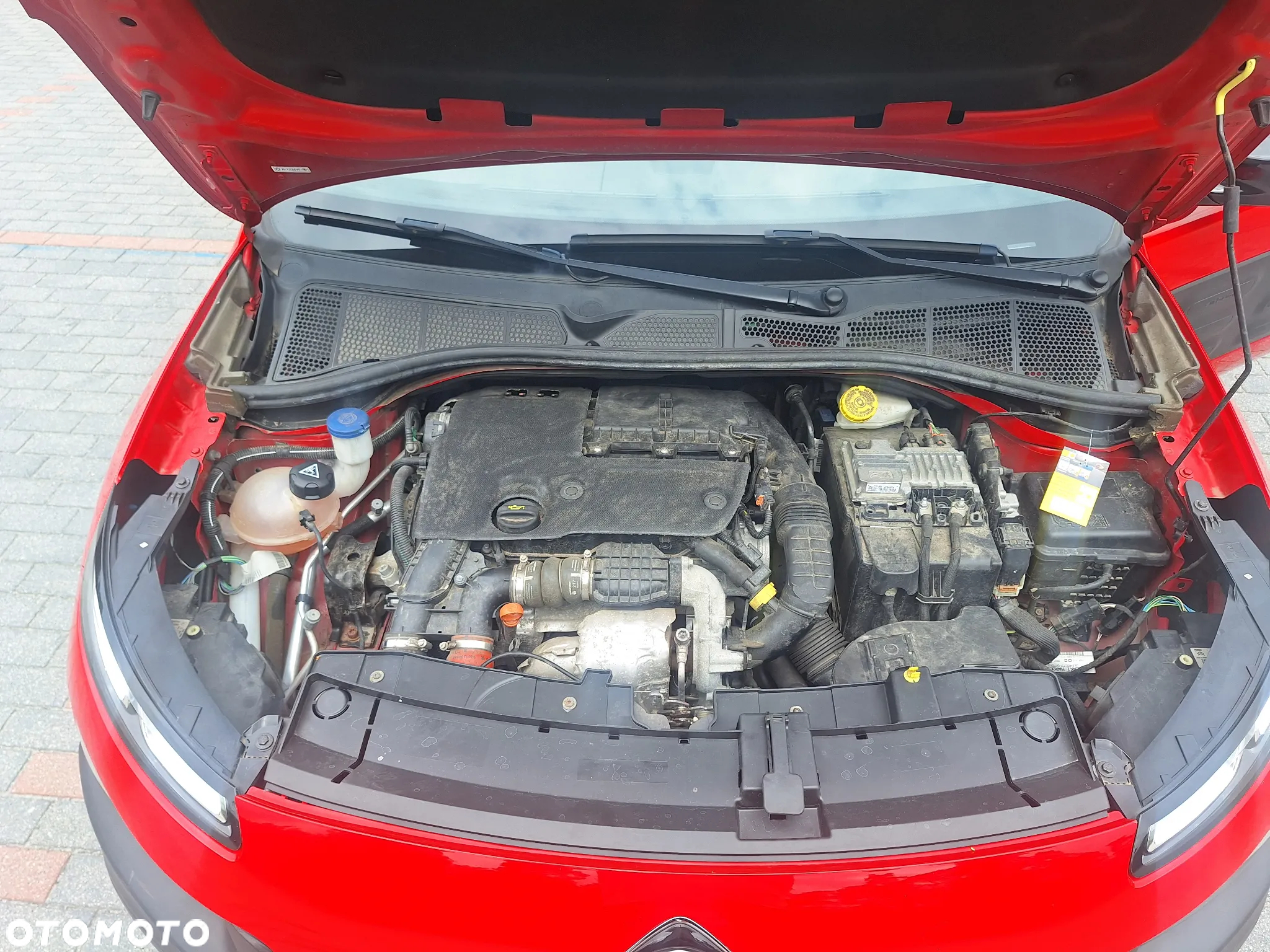 Citroën C4 Cactus 1.6 BlueHDi Live - 14