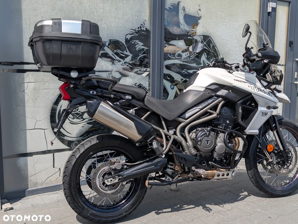 Triumph Tiger - 15