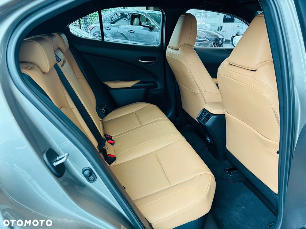 Lexus UX 300h F Sport Design - 14