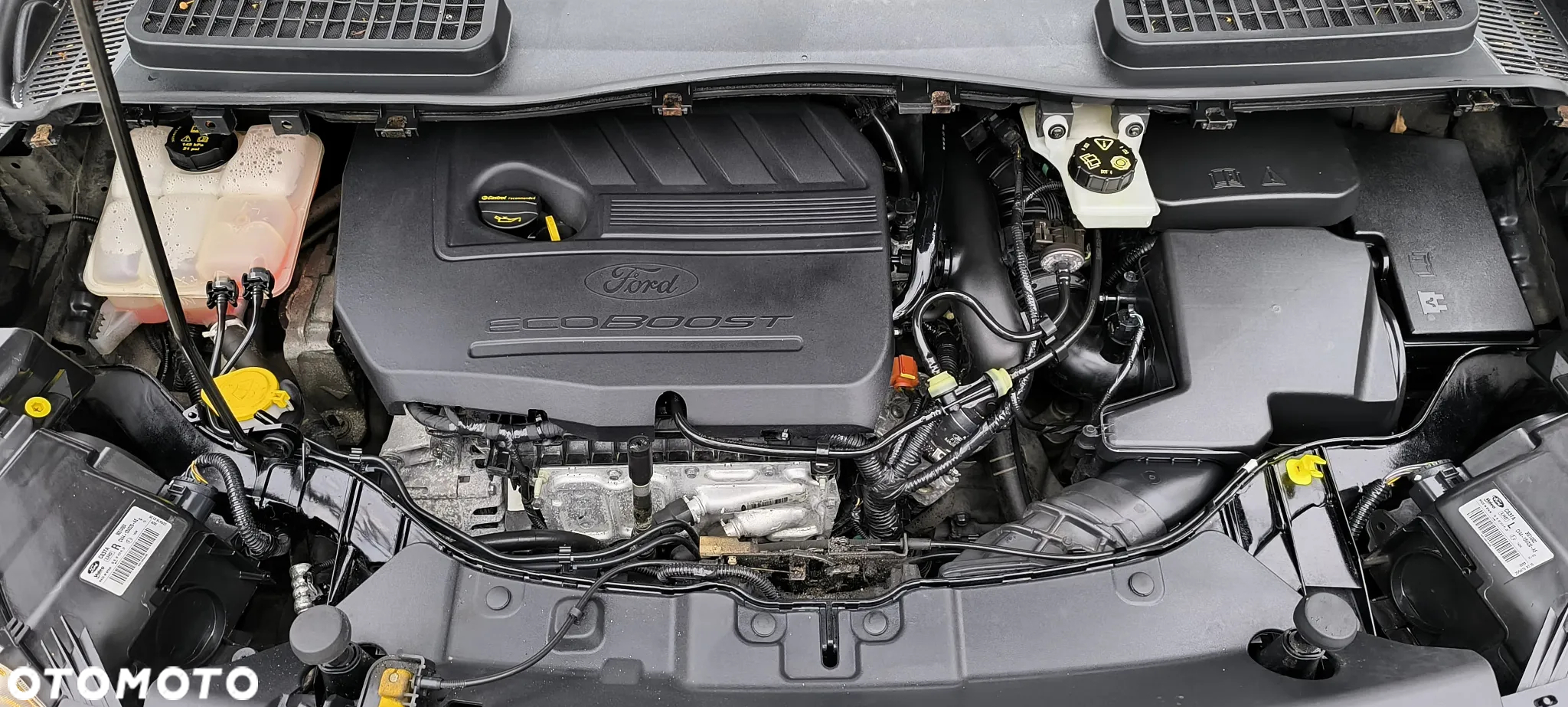 Ford Kuga 1.5 EcoBoost 2x4 Business Edition - 31