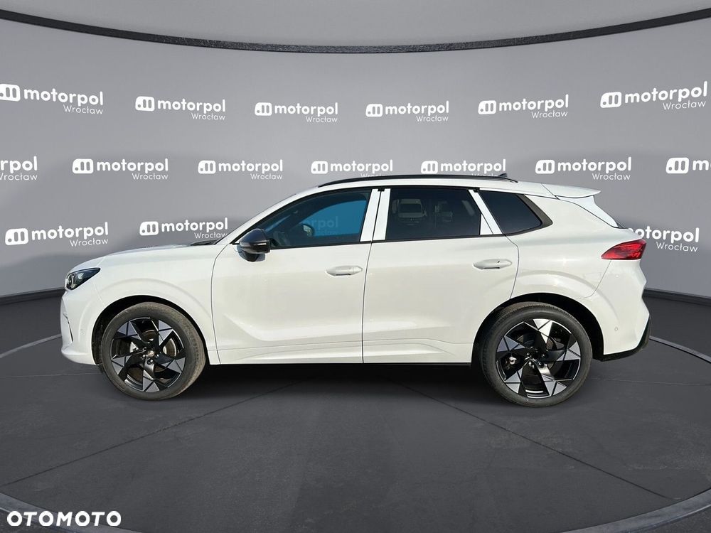 Cupra Terramar - 12