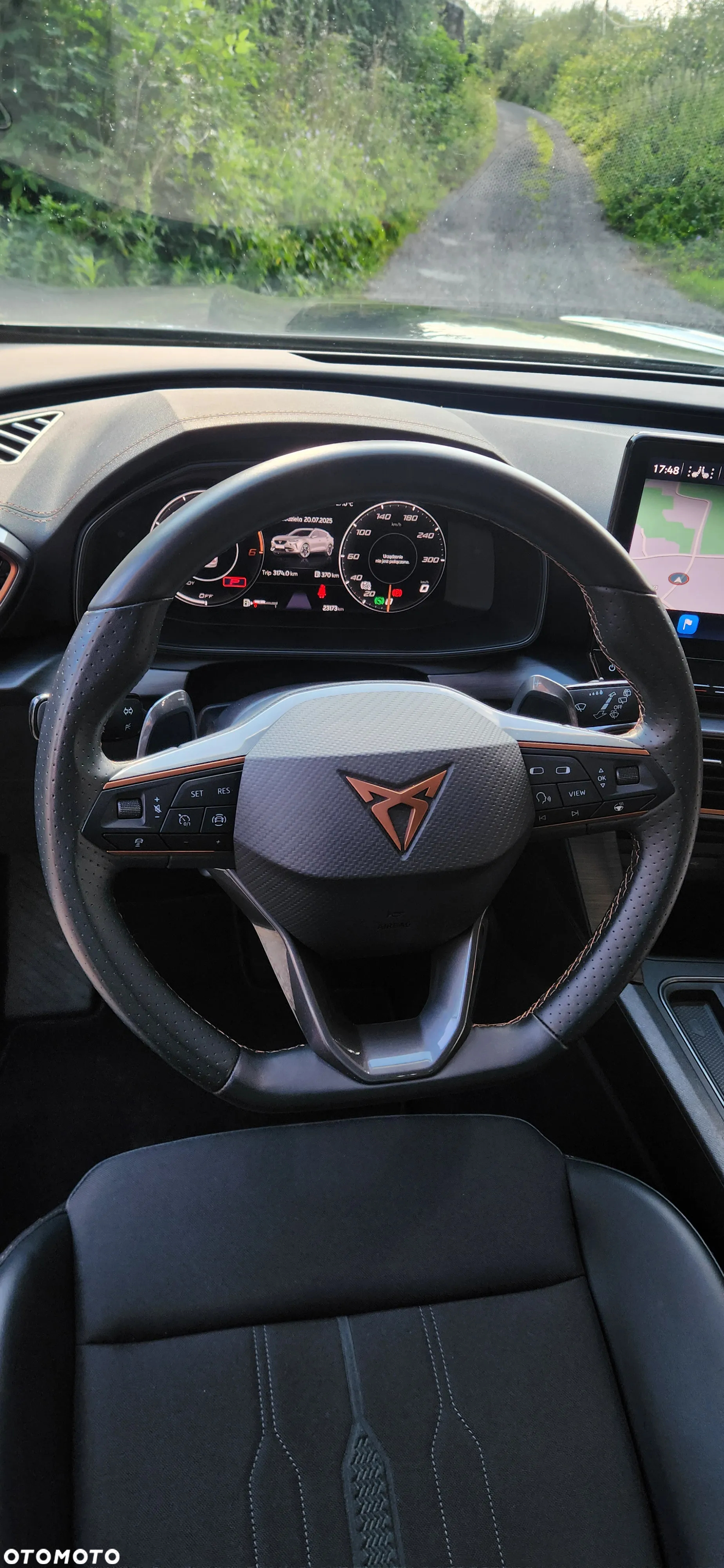 Cupra Formentor 2.0 TDI 4Drive DSG - 11
