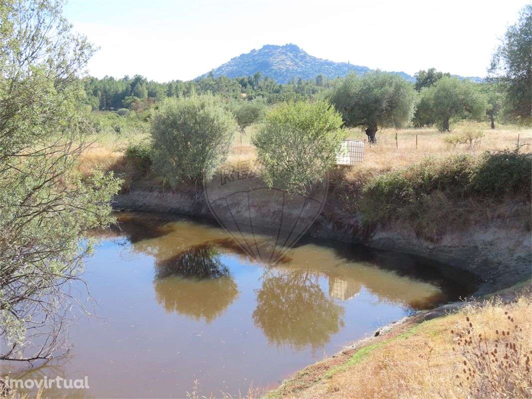 Quinta  para venda - Grande imagem: 3/30