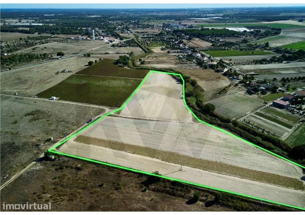 Terreno Rústico 4,7ha em Pegões Velhos - Próximo do futuro Aeroporto - Grande imagem: 2/5