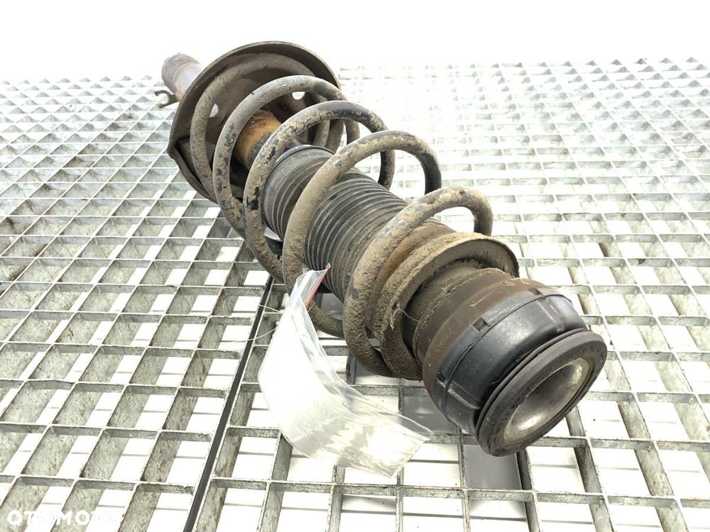 AMORTYZATOR PRAWY PRZÓD ZE SPRĘŻYNĄ  VW GOLF IV (1J1) 1997 - 2008 1.4 16V 55 kW [75 KM] benzyna - 2