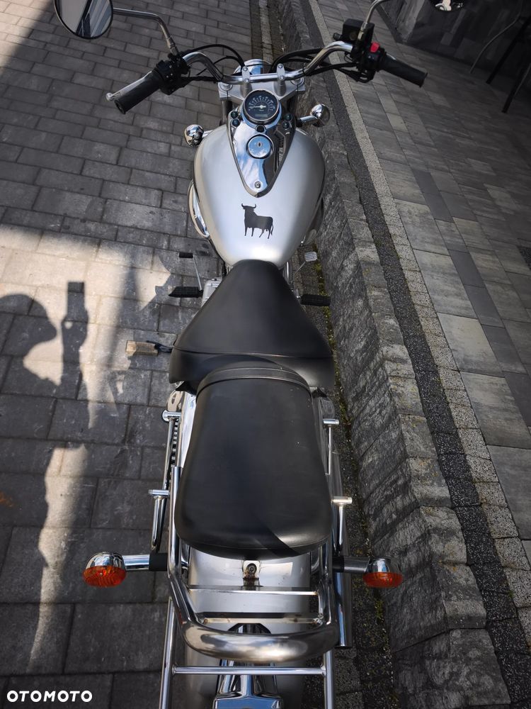 Suzuki Intruder - 19