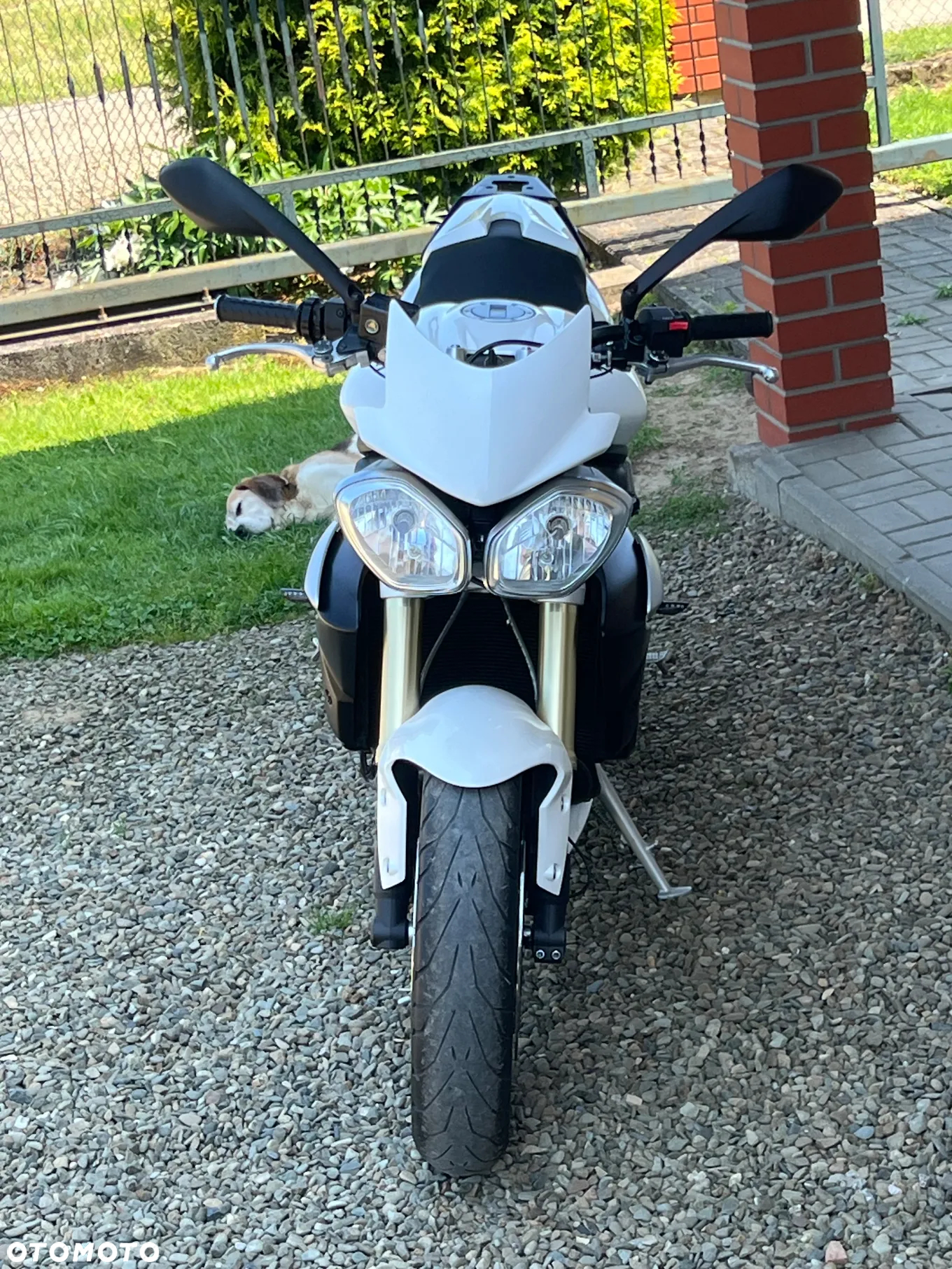 Triumph Street Triple - 6