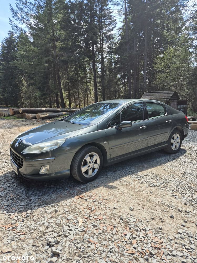 Peugeot 407 HDi 110 Esplanade - 15
