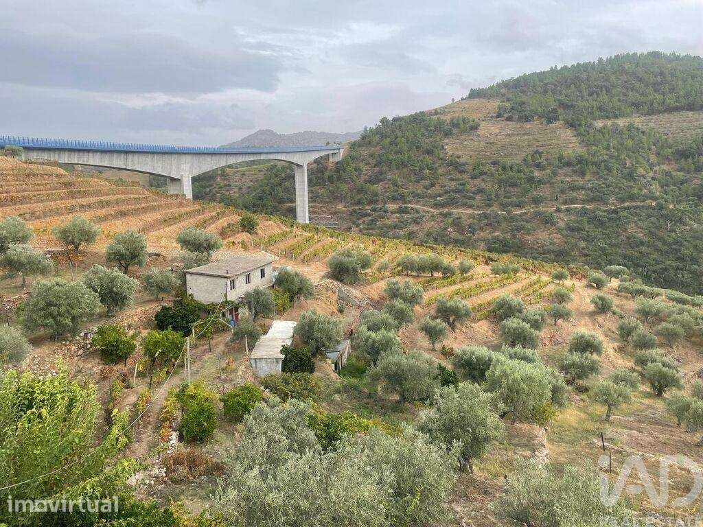 Quinta rural T3 em Carlão e Amieiro de 57566 m2 - Grande imagem: 2/37