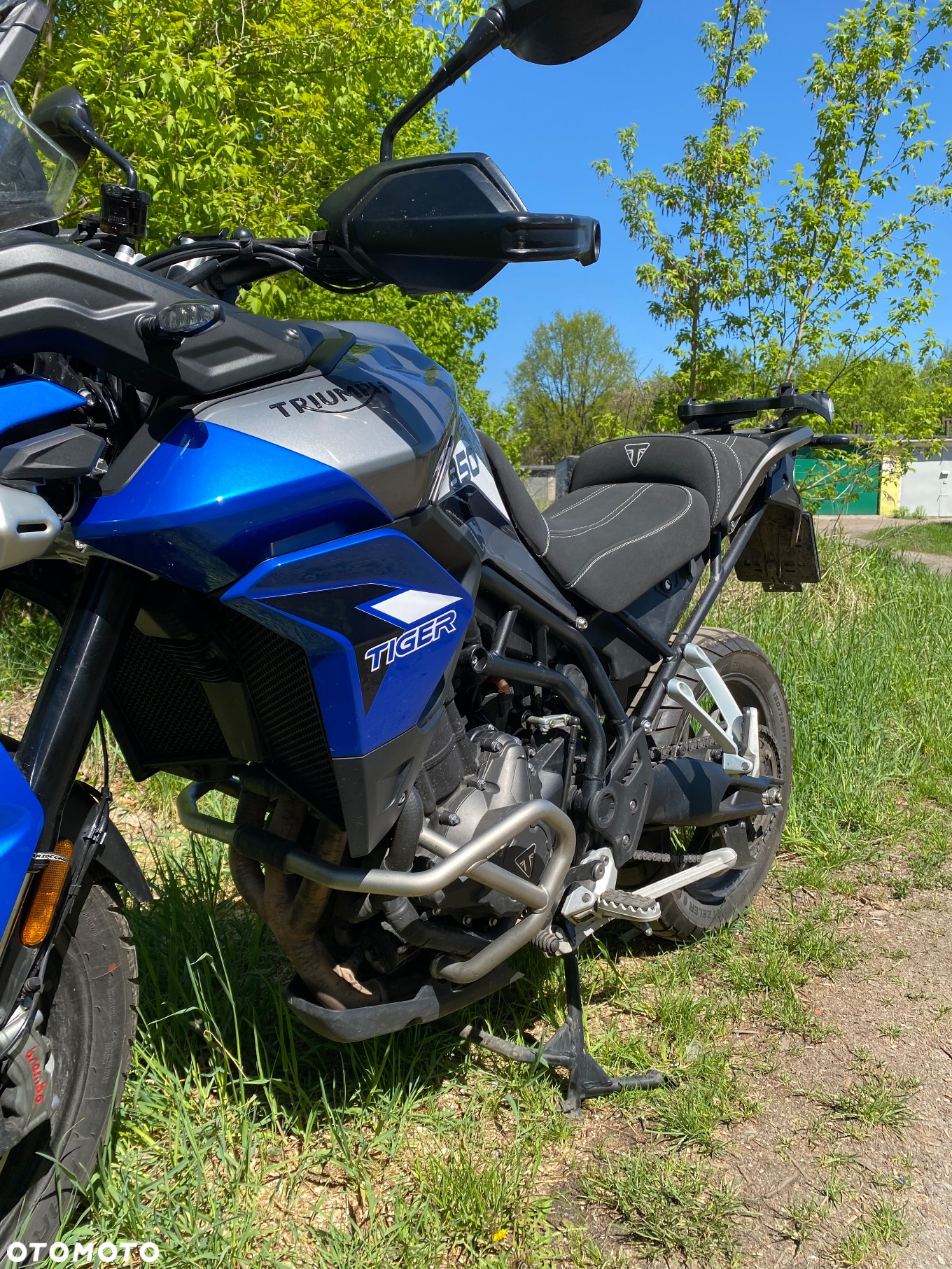 Triumph Tiger