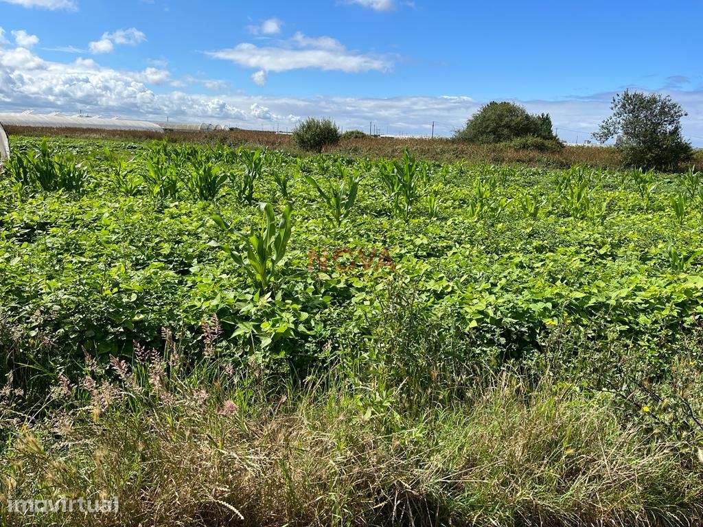 Terreno Rústico  Venda em Aguçadoura e Navais,Póvoa de Varzim - Grande imagem: 2/7