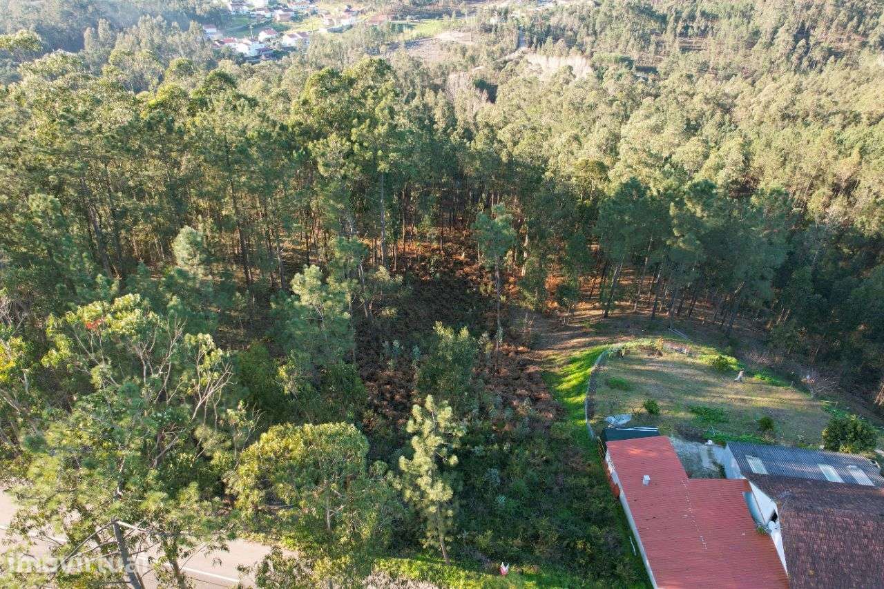 Terreno Para Construção localizado no Cercal, Ourém! - Grande imagem: 2/9