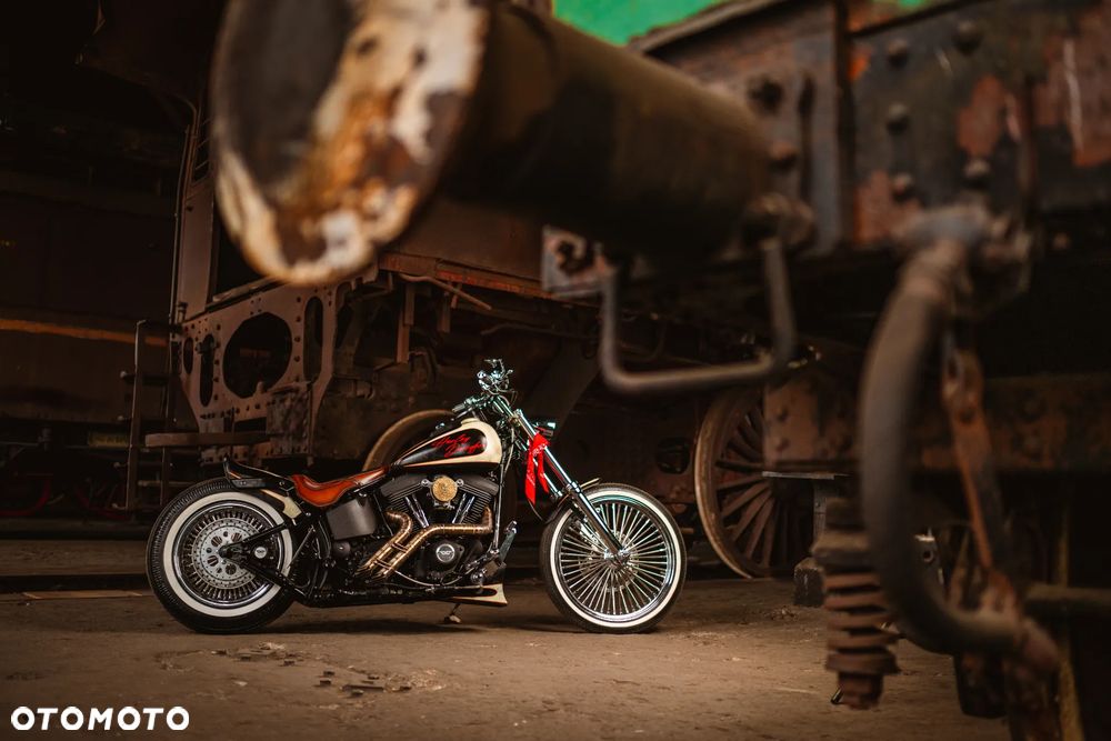 Harley-Davidson Softail - 3