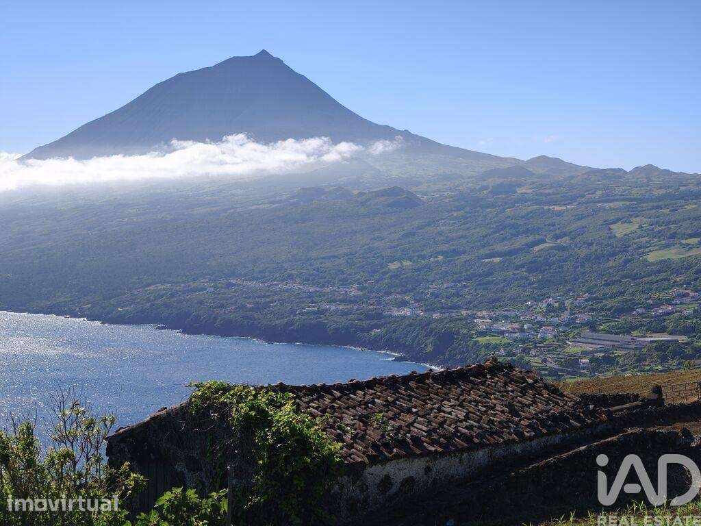 Terreno Agrícola em Lajes do Pico - Grande imagem: 2/21
