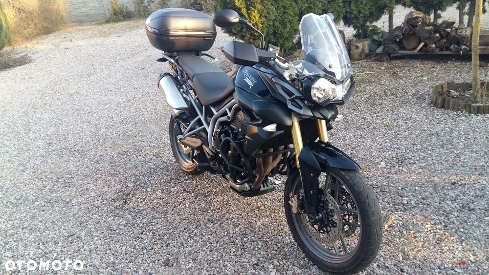 Triumph Tiger - 1
