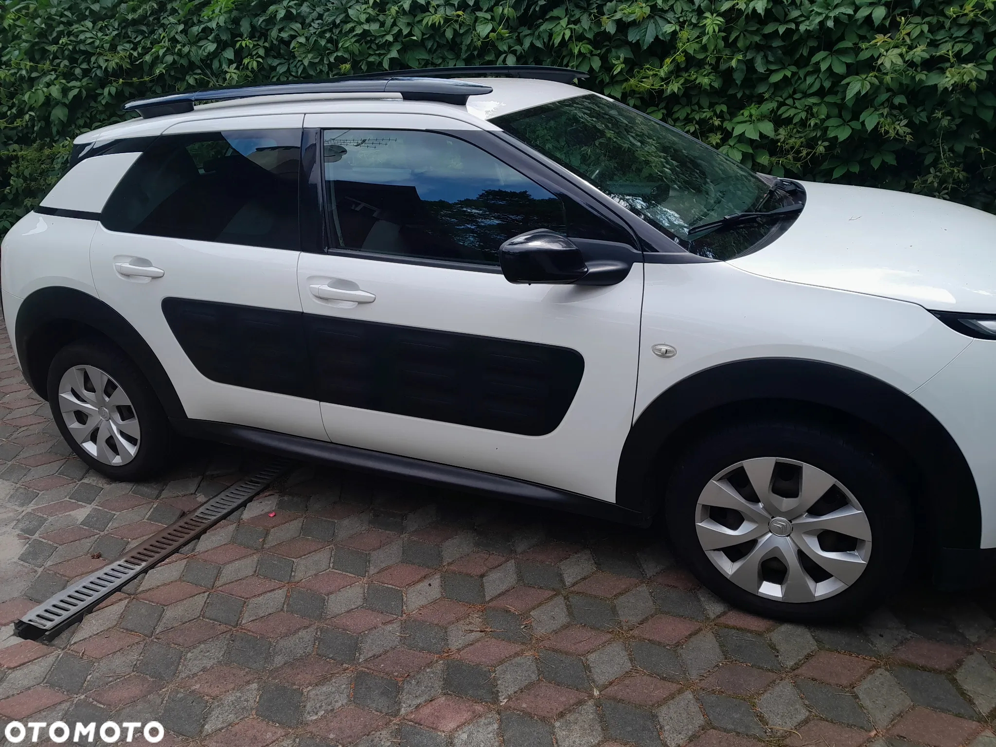 Citroën C4 Cactus 1.6 e-HDi Feel Edition ETG - 17