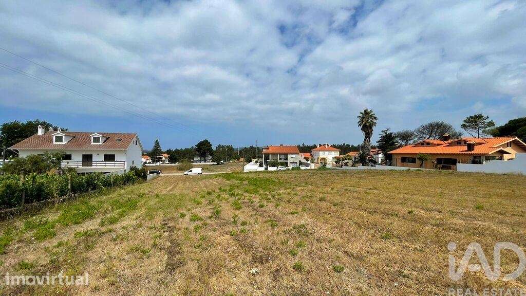 Terreno para construção em Nadadouro - Grande imagem: 4/18