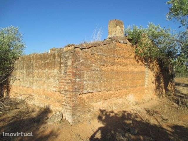 Terreno com Ruína - NOVO PREÇO!! - Grande imagem: 3/15