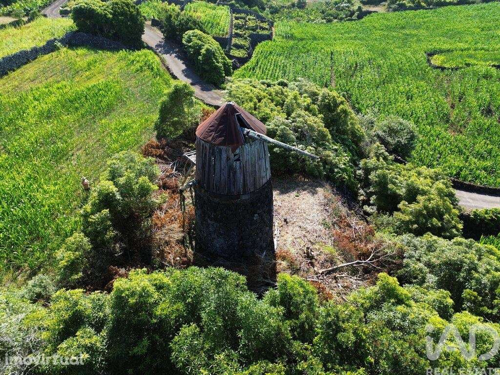 Casa / Villa em Criação Velha de 70,00 m2 - Grande imagem: 4/29
