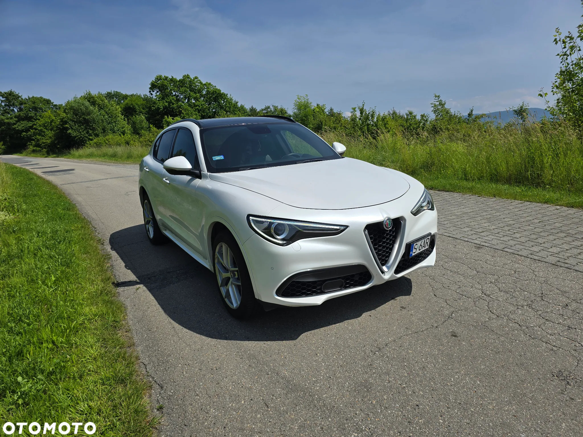 Alfa Romeo Stelvio 2.0 Turbo Estrema Q4 - 2