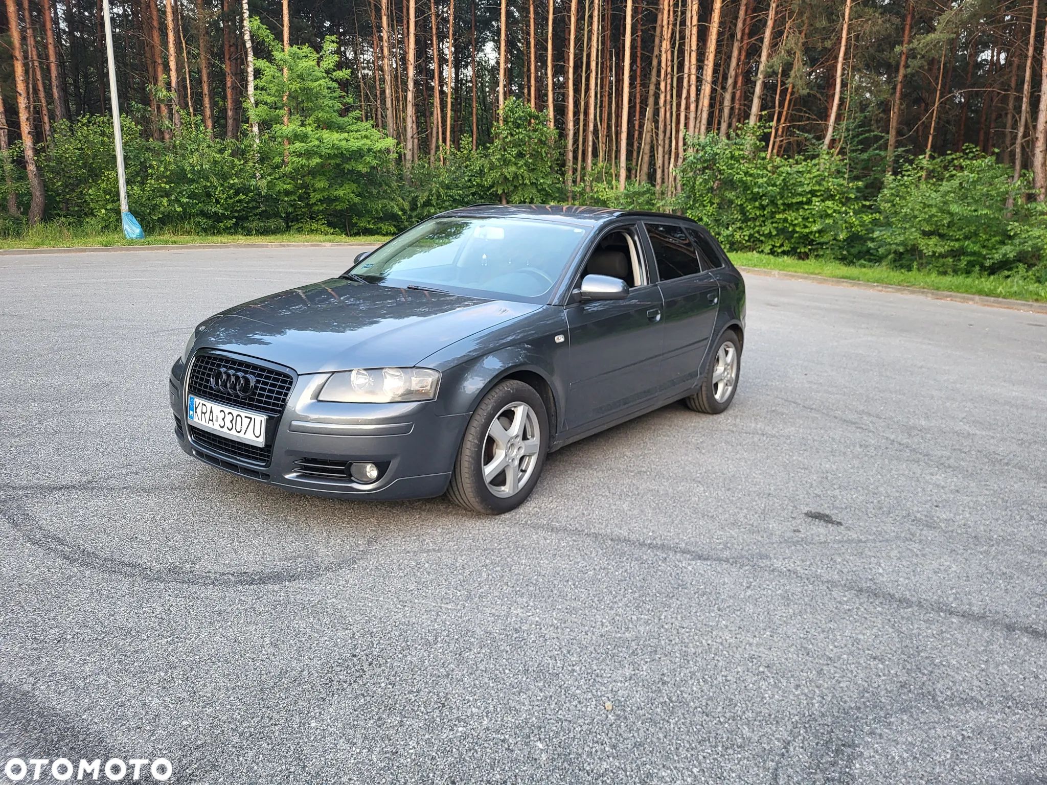 Audi A3 1.9 TDI Ambiente - 1