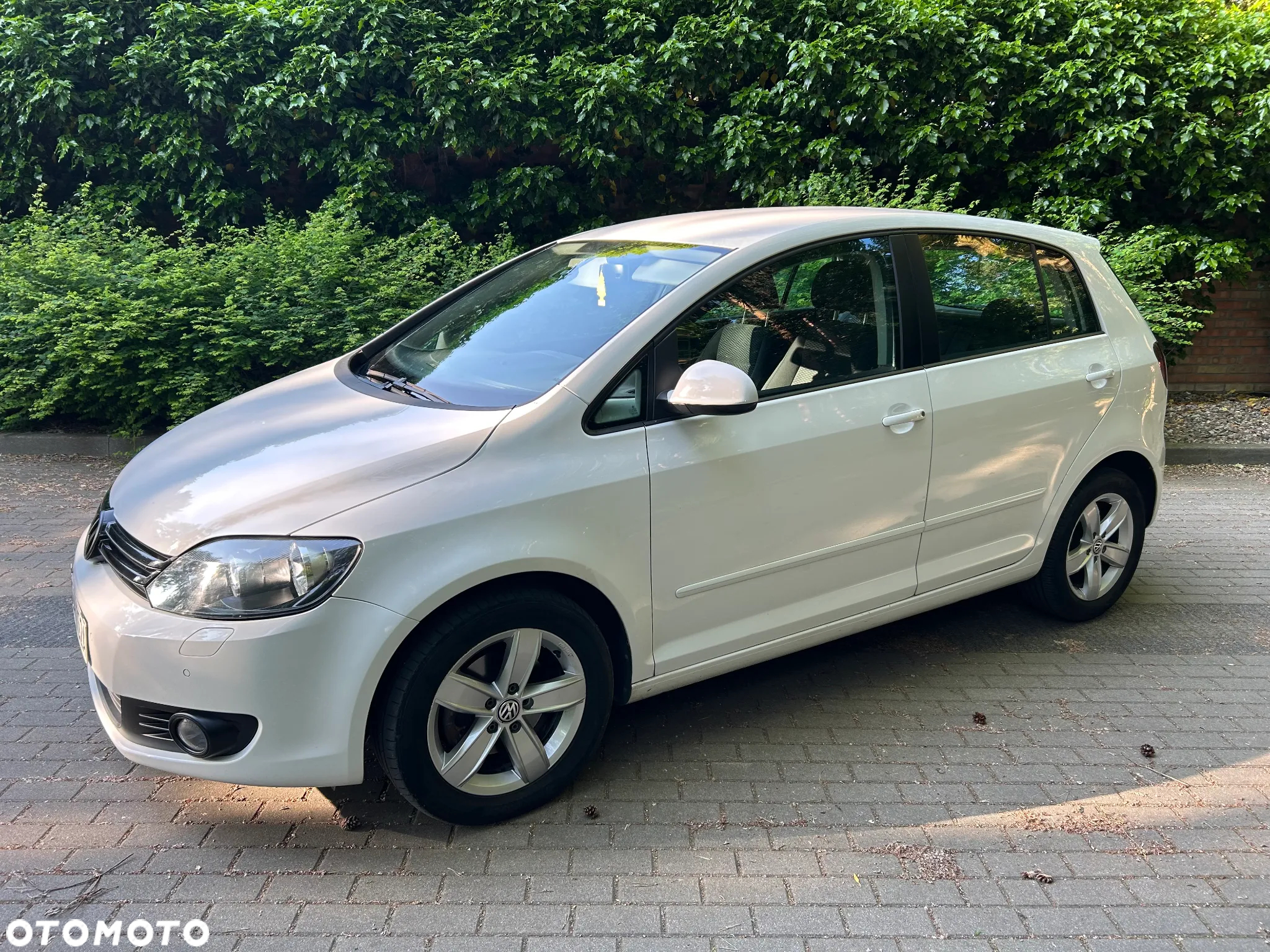Volkswagen Golf Plus 1.6 TDI BlueMot Comfortline DSG - 2