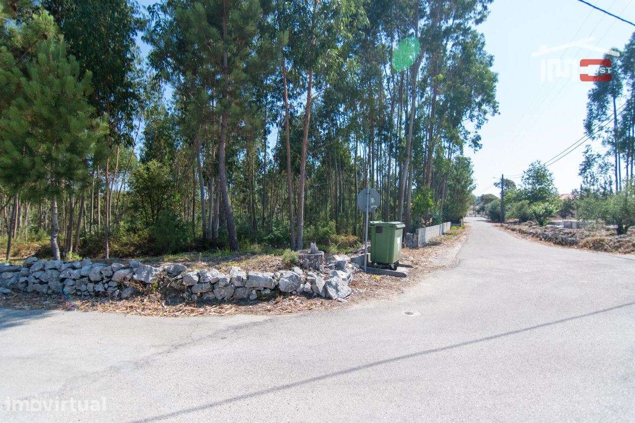 TERRENO EM MOITA DO MARTINHO A 5 MIN DE FÁTIMA - Grande imagem: 2/8