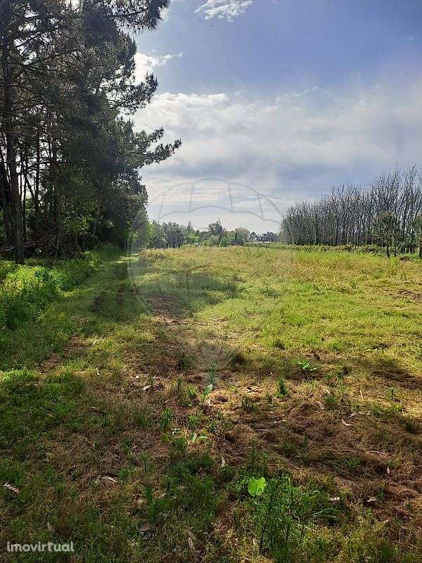 Terreno  para venda - Grande imagem: 4/5