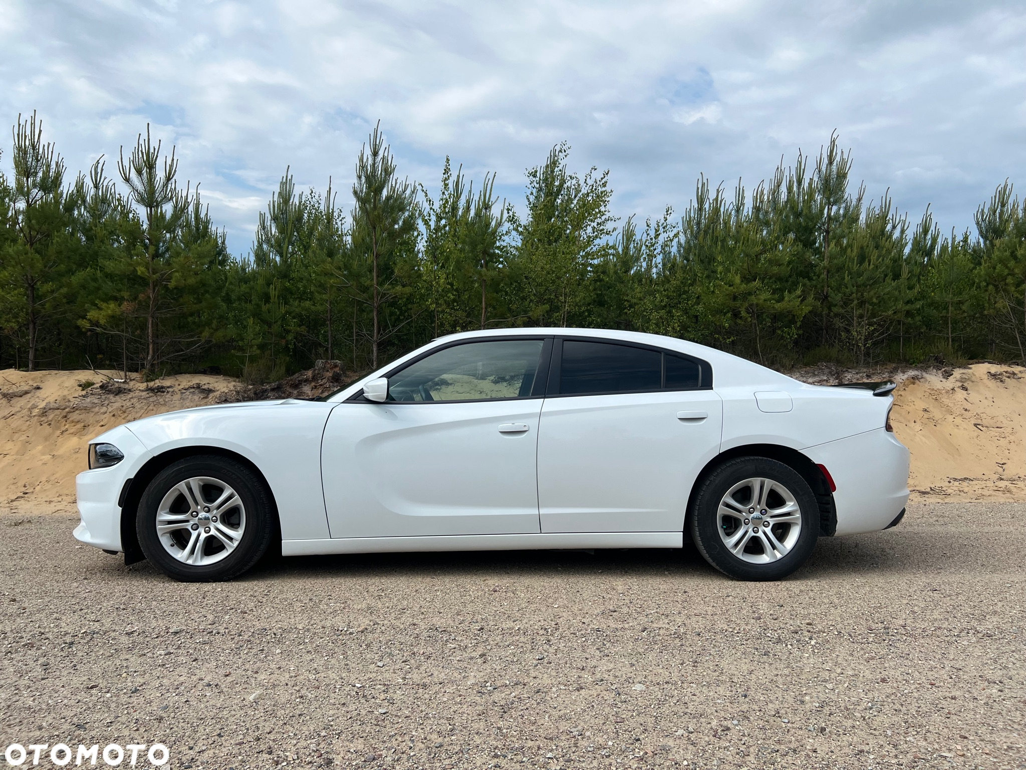 Dodge Charger 3.6 GT - 13