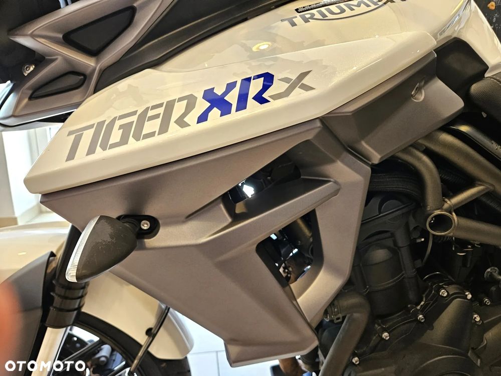 Triumph Tiger - 19