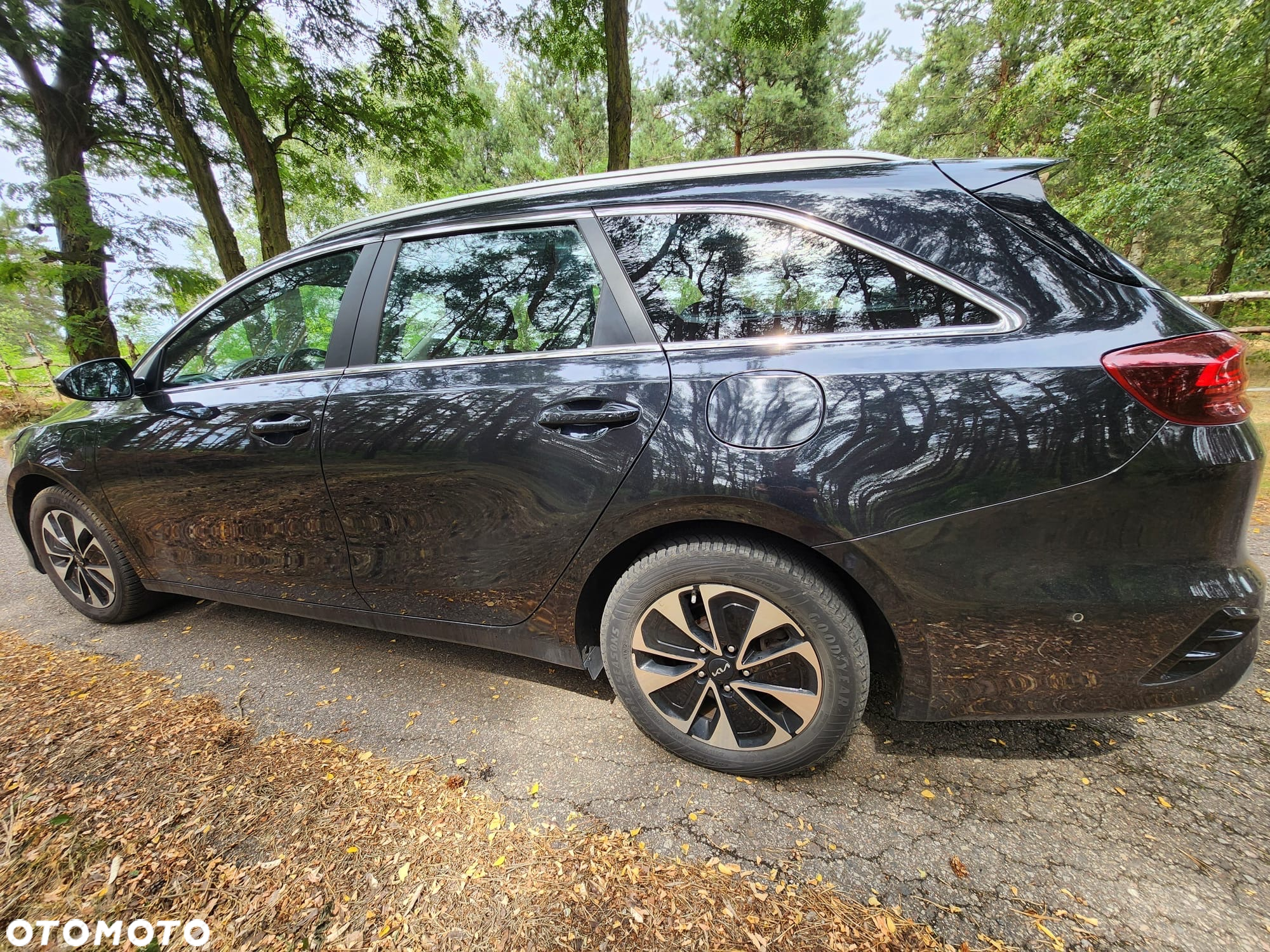 Kia Ceed 1.6 GDI PHEV Business Line DCT - 2