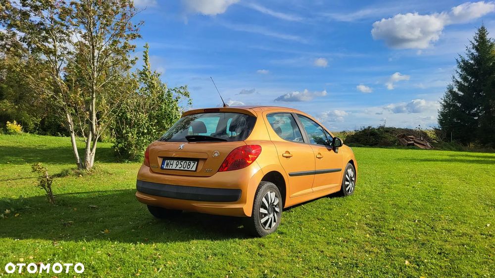 Peugeot 207 - 20