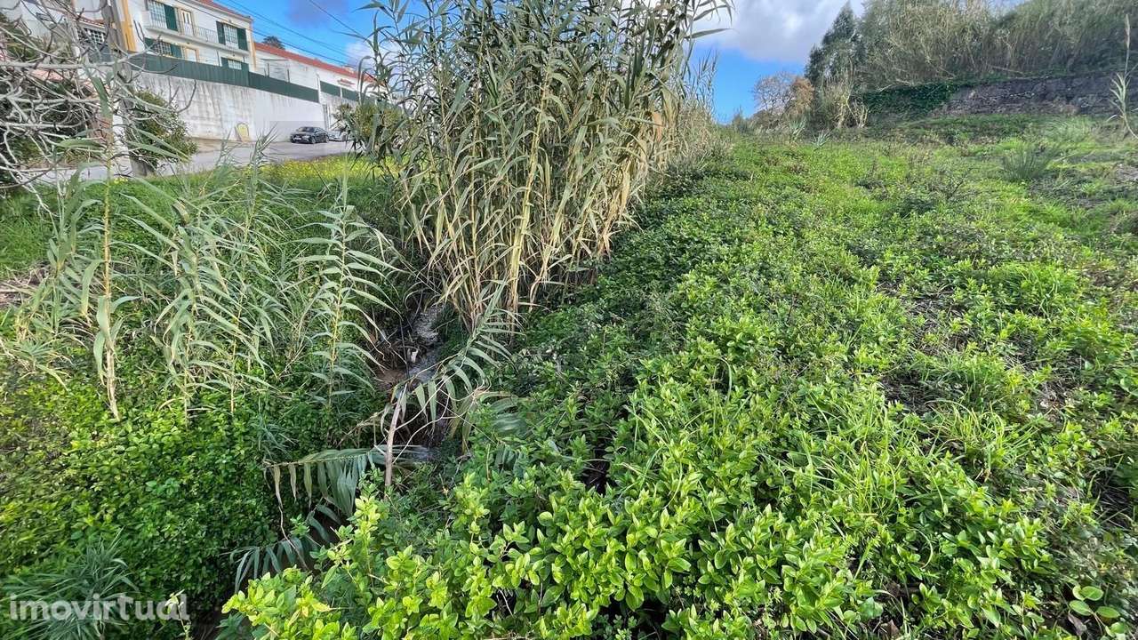 Lote Urbano em Mafra - Grande imagem: 4/11