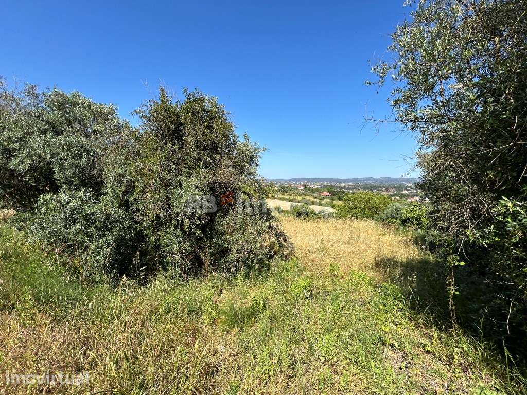 Lote de terreno urbano com 1502 m2 - Tomar - Grande imagem: 2/31