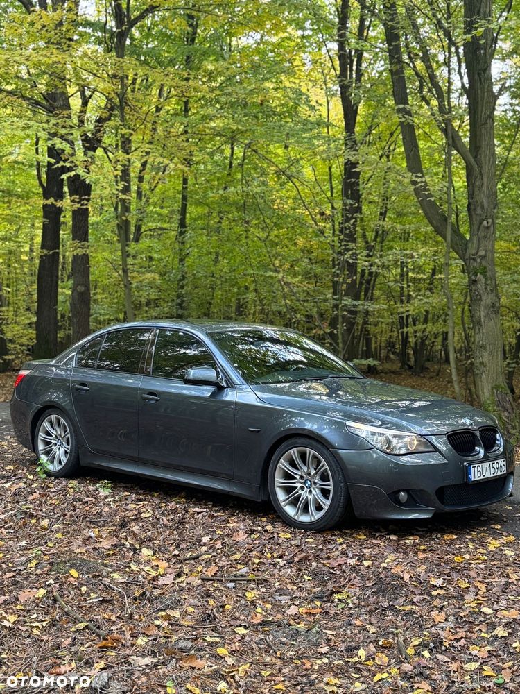 BMW Seria 5 530d - 11