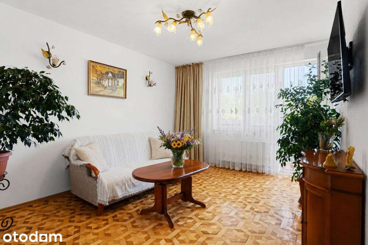 Widok na zieleń + ogródek działkowy w pakiecie