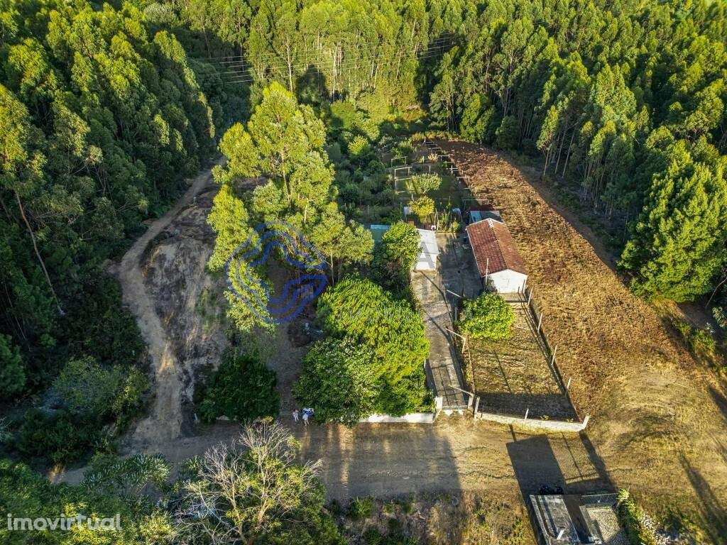 Terreno para venda em Baguim do Monte com 2,835 m2. - Grande imagem: 5/22