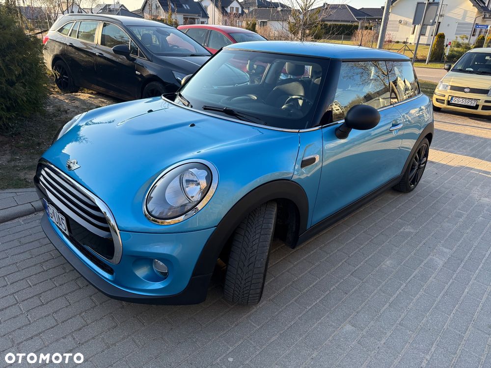 MINI ONE Blackyard - 13