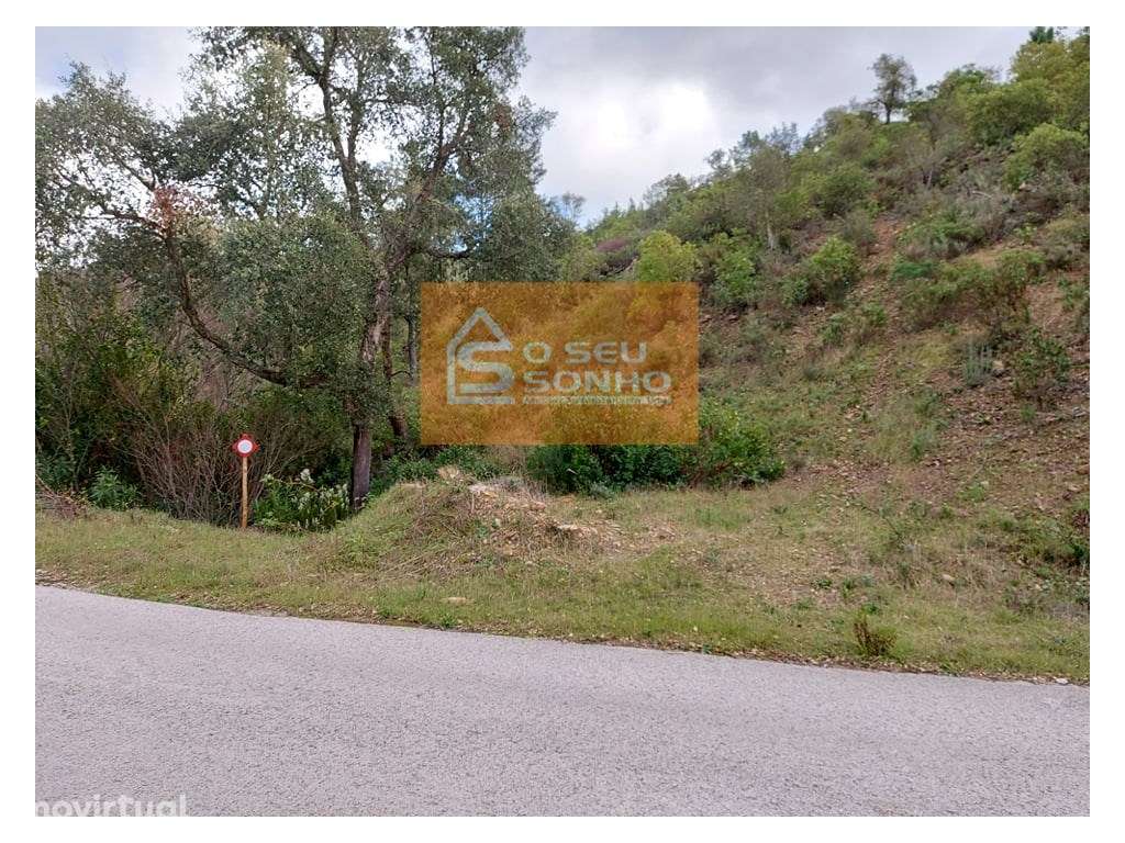 Terreno Rústico em Javali - Grande imagem: 4/9