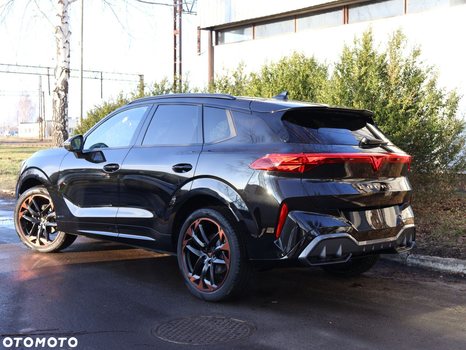 Cupra Terramar 2.0 TSI 4Drive DSG - 6