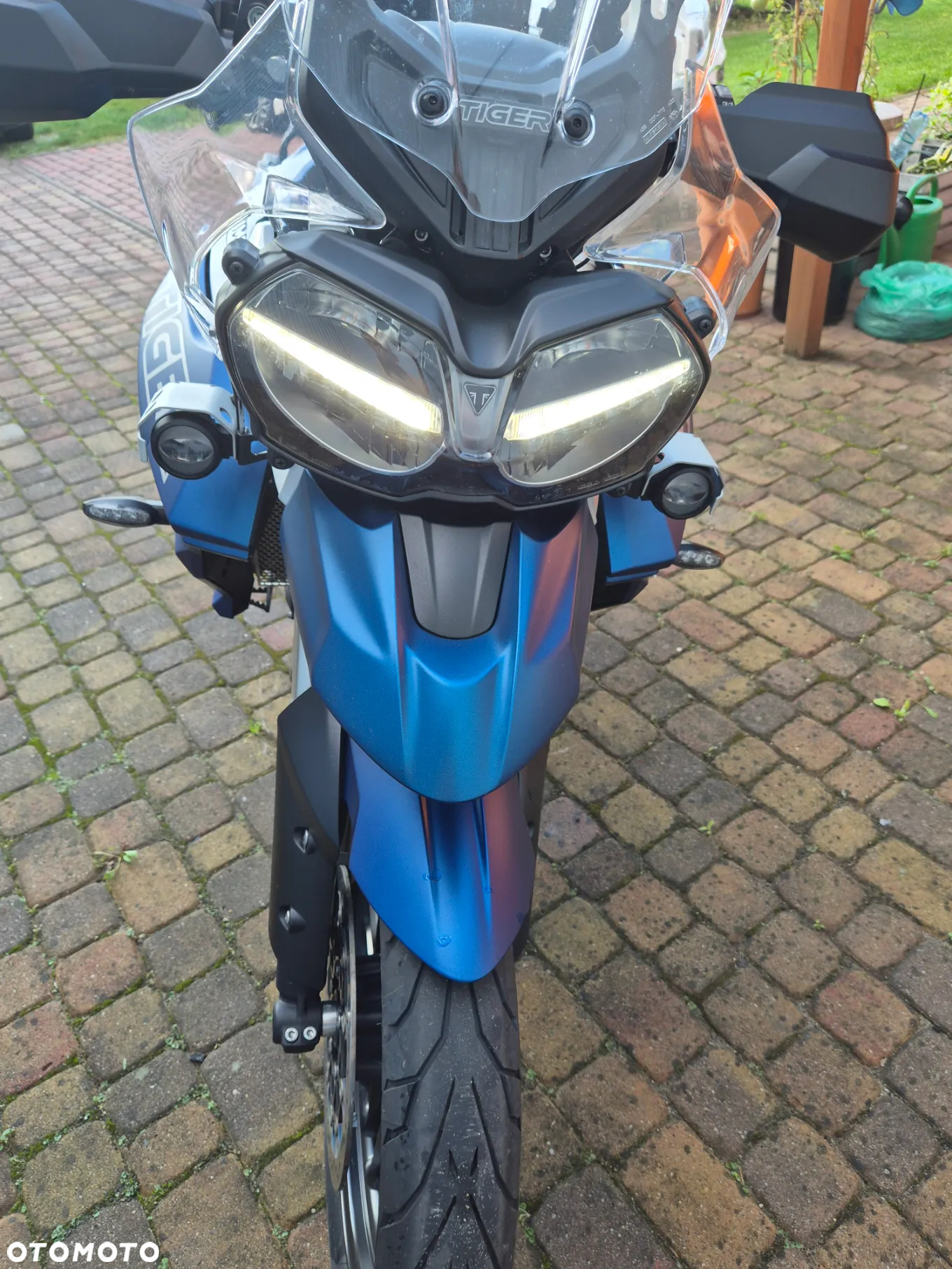 Triumph Tiger - 9