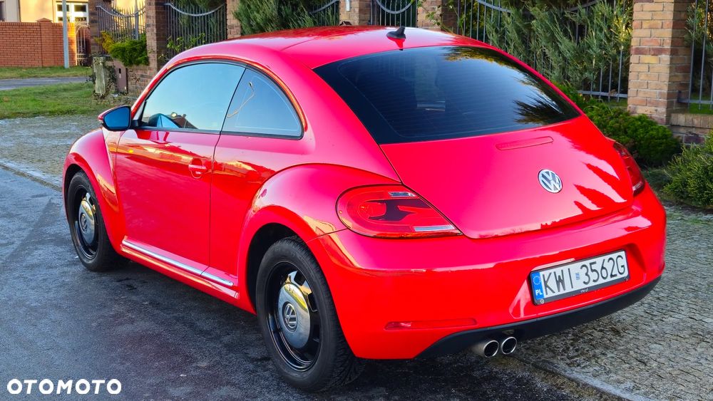 Volkswagen Beetle - 9